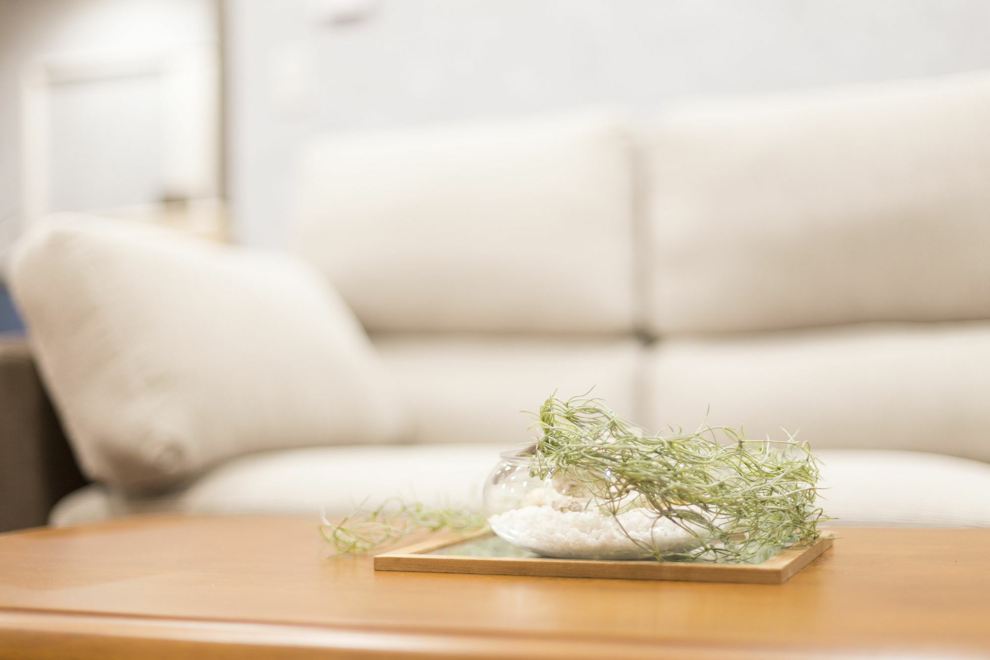 Suite Villa Yagaji นาโงะ ภายนอก รูปภาพ